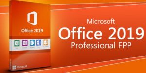 Microsoft Office 2019 Professional FPP