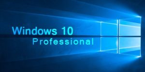 Windows 10 Professional OEM PC CD Key