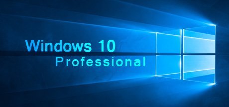 Windows 10 Professional OEM PC CD Key