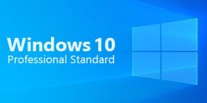 Windows 10 Professional Standard