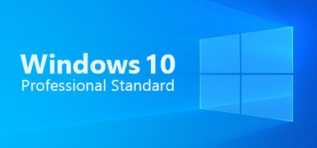 Windows 10 Professional Standard