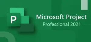 Microsoft Project Professional 2021