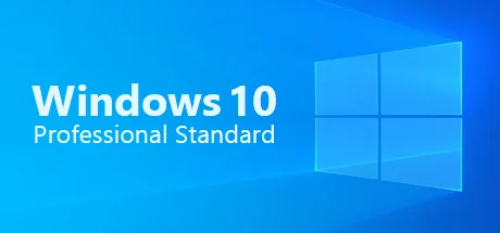 Windows 10 Professional Standard