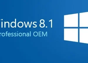 Windows 8.1 Professional OEM