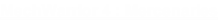 MechWarrior 4 : Mercenaries
