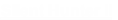 Silent Hunter II
