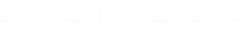 Company of Heroes : Opposing
 Fronts 
